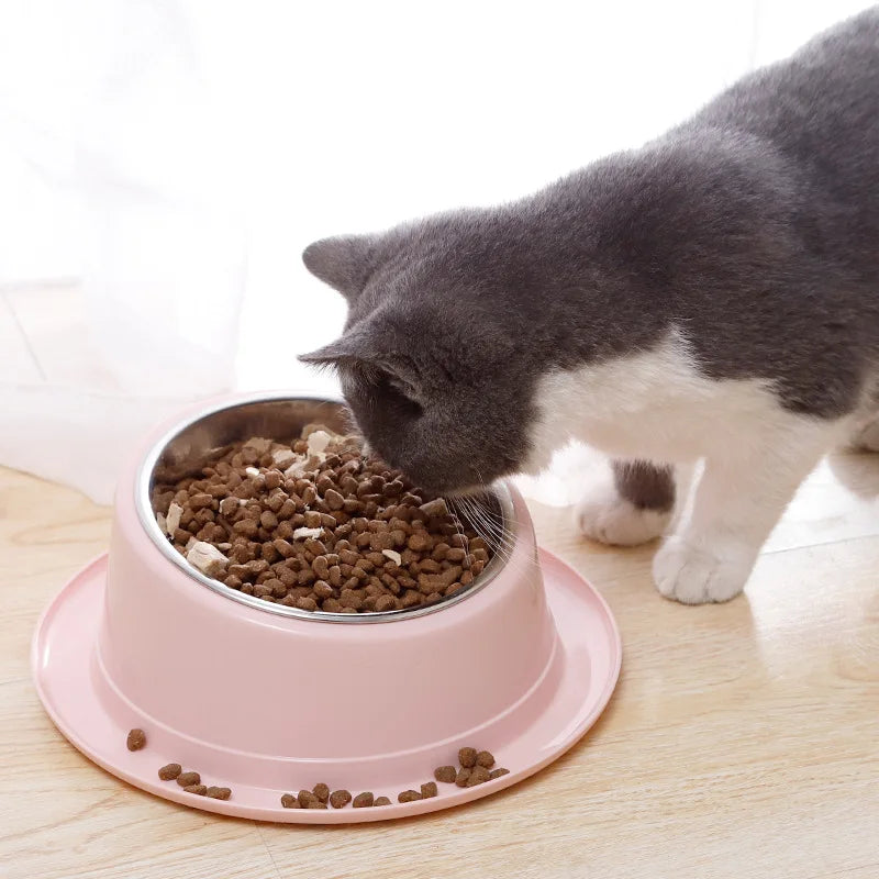 Cat Feeder Slope Anti-Ant Food Bowl For Cat Pet Accessories Dog Bowl Quality Stainless Steel Container For Cats Pet Supplies