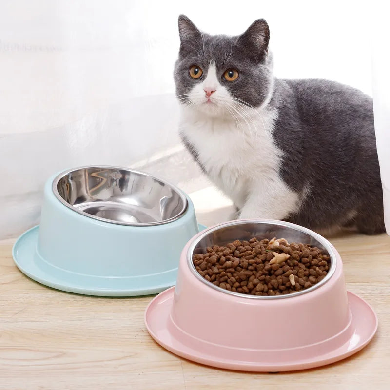 Cat Feeder Slope Anti-Ant Food Bowl For Cat Pet Accessories Dog Bowl Quality Stainless Steel Container For Cats Pet Supplies