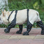 Adjustable and Connected Dog Boots - Ultimate Paw Protection