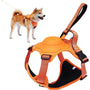 Dog Harness and Retractable Leash Set All-in-One