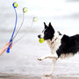 Dog Toys Throwing Pole ABS 50cm Dog Training Ball Thrower Outdoor with Tennis Ball Training Throwing Toys