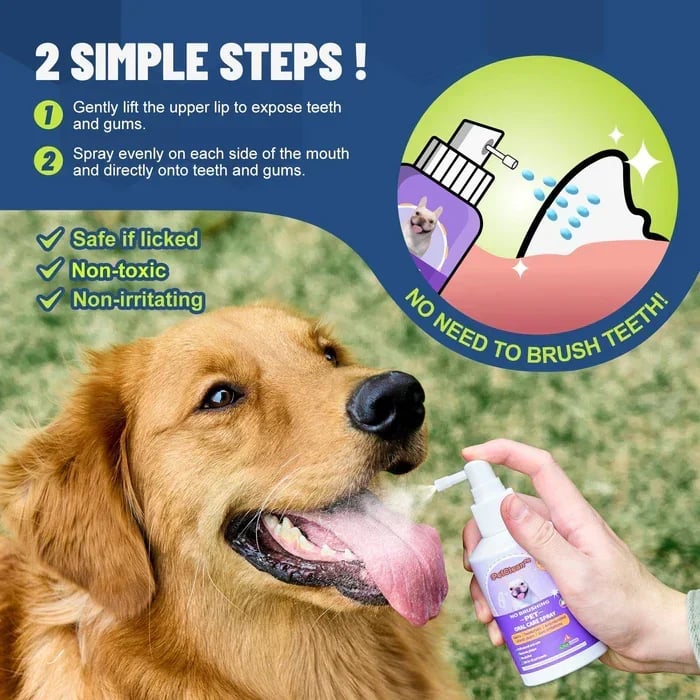 Teeth Cleaning Spray for Dogs & Cats